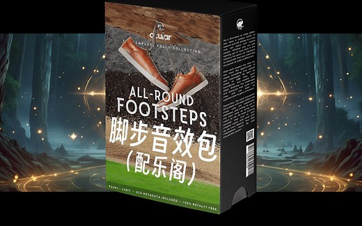 256组真实脚步音效，后期制作的必备神器！