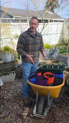 Why We're Switching from Raised Beds to SmartPots For Some Veggies #shorts #gardening #hack