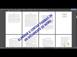 HOW TO QUICKLY AND EASILY DELETE, ERASE, OR CUT PAGES OR SHEETS FROM A WORD DOCUMENT 2024
