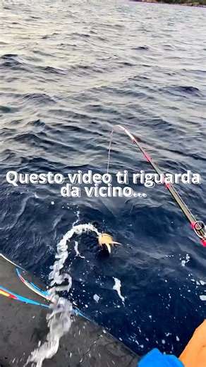 Stefano Adami Fishing on Instagram: "🎣 Se ami la pesca, questo video ti riguarda. Il Pescare Show 2026 cambia davvero marcia 🔥 📍 Nuova super location: Fiera di Rimini 🚀 Molte più aziende ed espositori rispetto alle scorse edizioni 🛠️ Più brand, più attrezzatura, più novità da vedere e provare 📅 13 – 15 febbraio 🎟️ Biglietti già disponibili online 💥 CODICE PROMO: R1ADA 👉 Usalo per ottenere lo sconto 🔗 Link in story Ci vediamo a Rimini 👊🎣 @pescareshow #pescareShow #pescareShow2026 #pes