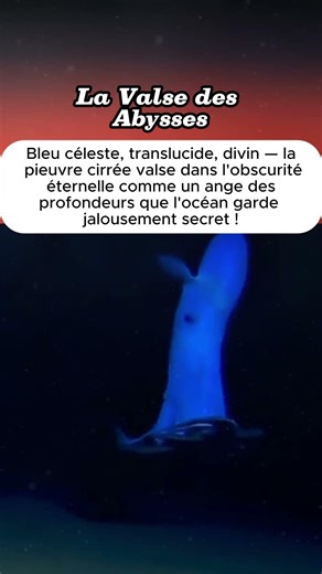 La Valse des Abysses