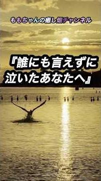 誰にも言えずに泣いたあなたへ｜＃癒し＃人生の生き方＃感動すること