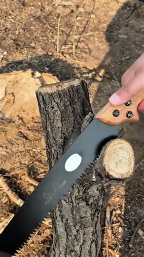 cutting dry tree branch using black sharp hand saw for wood clearing activity in a forest garden