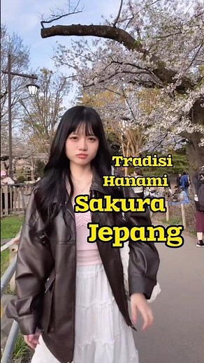 tradisi hanami jepang
