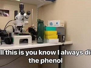 美国大学讲师和英国博后告诉你prok消除rna的必要性