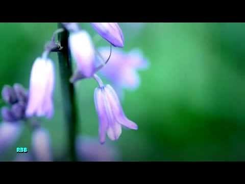 Alanis Morisette - What If God Was One Of Us