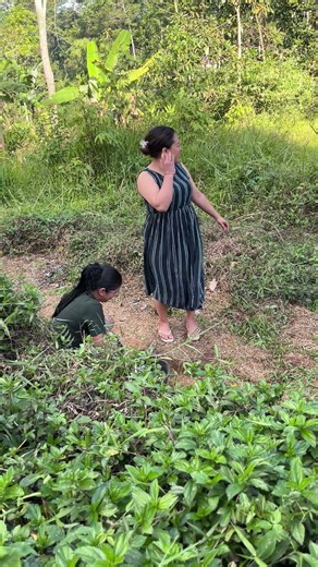 Watering dry soil