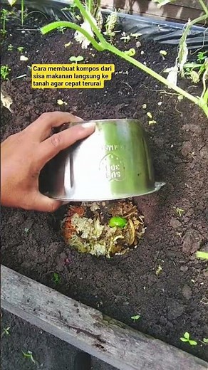 cara membuat kompos dari sisa makanan langsung ke tanah #gardening #viral #edukasi #berkebun