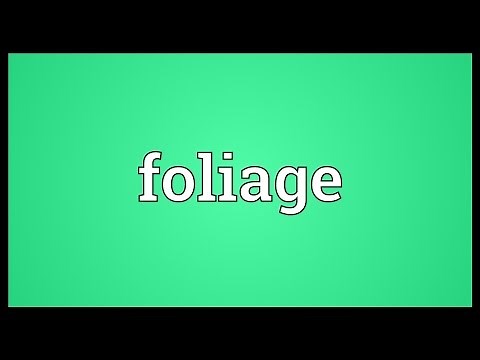 Foliage Meaning