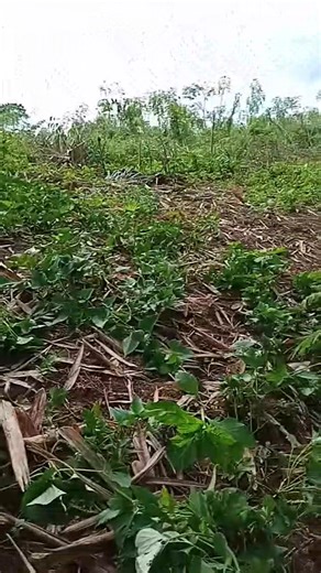 #ethansvlog 💪💪💪👍 | Ethans vlog