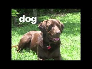 Olivia and Otis preview text