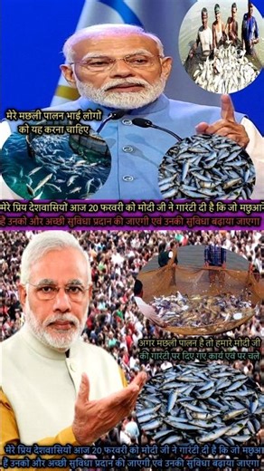 एक रोचक तथ्य: भारत दुनिया के सबसे बड़े मछली उत्पादक देशों में से एक है, और इस क्षेत्र में सुधार