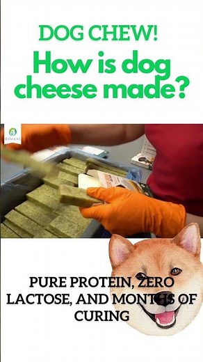 How is dog cheese made?