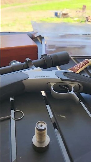 white hot pellets and Triple 7 shoot the same! black powder