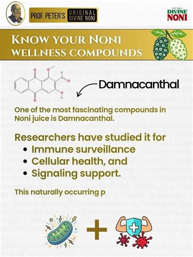 Know you Noni compounds- Prof. Peter's Original Divine Noni