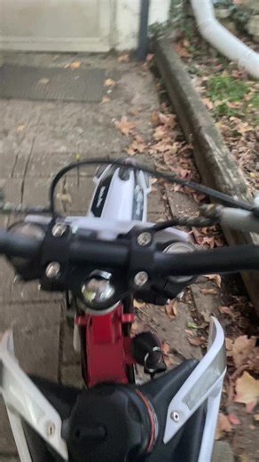 Retiredfromtiktok (@goofyahchase)’s videos with original sound - XENO