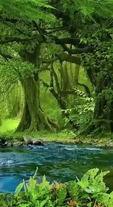 Nature is stunning! | The wonderful world