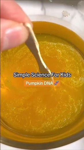 Extracting Pumpkin DNA 🧬