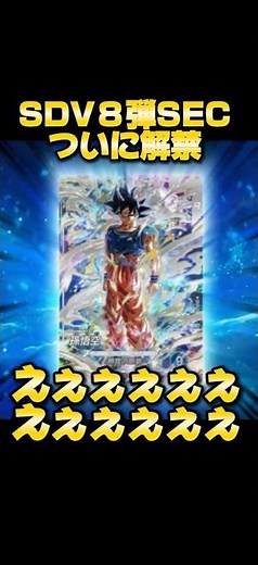 SDV 8 SEC revealed!!! It's that guy!!! #DragonBallSuperDivers