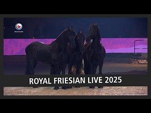 Friesian Proms Live 2025 | HYNSTEKEURING