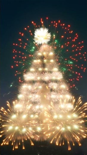 That fireworks finale was CRAZY 3💥 #fireworks #satisfying