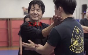 国外咏春Trapping（诱捕）技术的讲解