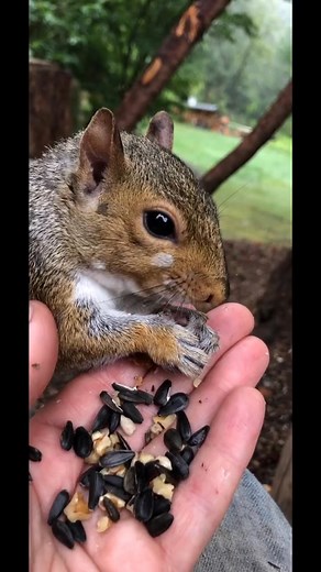 Highlight on spot with a brief look at how the spot looked this summer. It’s almost faded away now. | Christopher Nolan