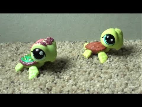 My Littlest Pet Shop SEA TURTLE Collection