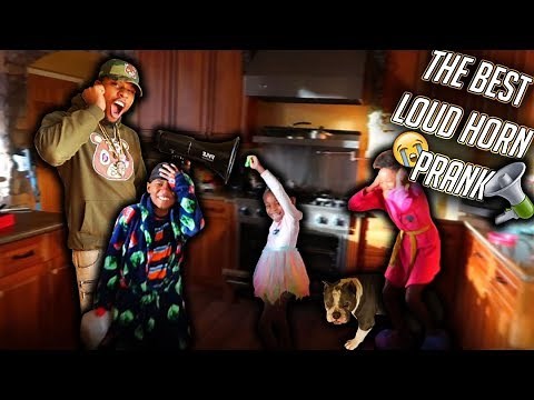 The Best Loud Horn Prank (Even Scared My Dogs)