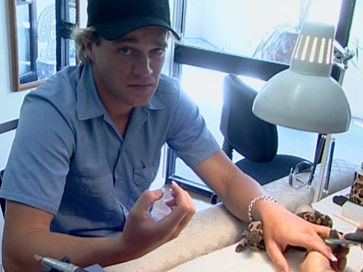 The Big Experiment - First Episode | Television | NZ On Screen