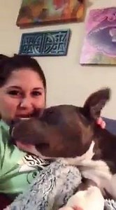 DOG'S SUPER ADORABLE REACTION TO AN EMOTIONAL SONG | Best animal videos