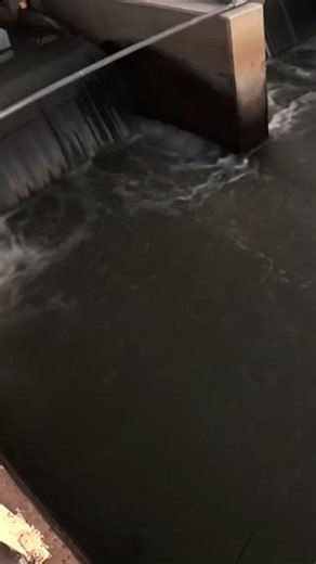 9.7K views · 148 reactions | Kyle Barber spots a Murray cod mooching,...