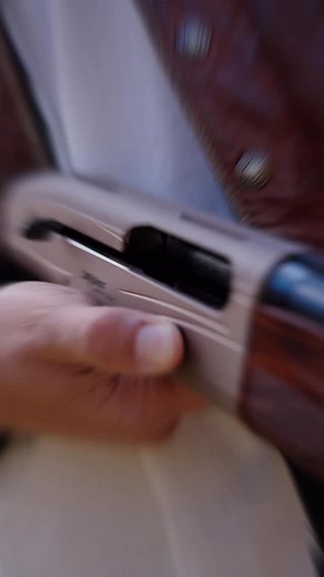 8.2K views · 29 reactions | Welcome to WILDE ACRES! This is Gator, the son of Otto from @pythoncowboy and @snakeroadkennels down in Florida. This dog is really SPECIAL! Let me tell you. Cam and I are stoked to have this dog on the roster. @wildeacresmd to find out more about our bird dog training program. #indogwetrust #bigdog #pointer #steadyontheshot #gundog #dogtraining #maryland | Carter Levy Wilde | Facebook