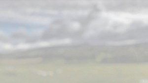 Farming Life Awards 2019 Click on the link below to enter www.farminglife.com/farminglifeawards/ #FLAwards19 #farminglife | News Letter | Facebook