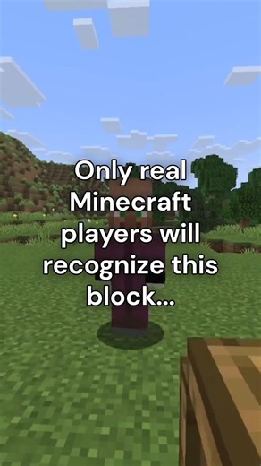 Most Players Ignore This Strange Minecraft Block