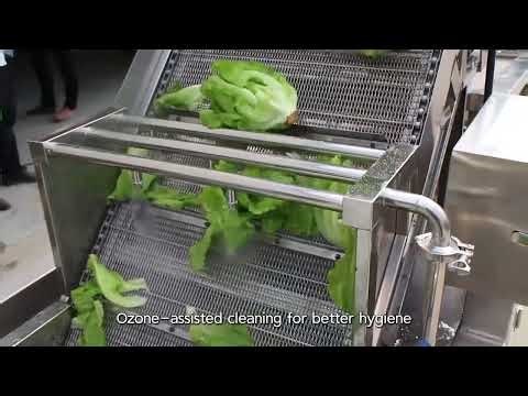 Bubble Vegetable Washing Machine with Ozone | KT-WB200S Bean & Lettuce Cleaning