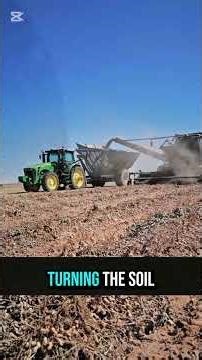 This Machine Harvests Thousands of Peanuts in Minutes! | Incredible Farming Tech! 😱💥 #farmingtech