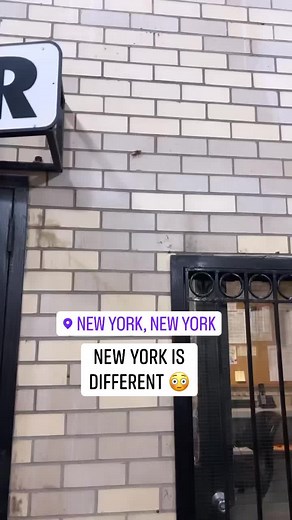 NY I need an explanation… #IG #reels #cockroach #newyork #nyc #bugs #wild | Riss & Quan