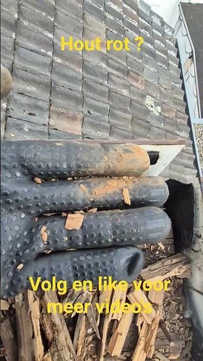 hout van dakkapel plat dak helemaal weg gerot#viral #diy #construction #dakdekker #fypシ #fyp #home