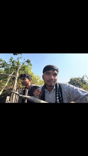 आज हम जारहे थे उज्जैन se घर तो हमको दिखा संतरे का बगीचा पर संतरे नहीं मिले 😭 (wait for end)Today, when we were going home from Ujjain, we saw an orange orchard but could not find any oranges. #orange #jurney #orangecounty #viralvideochallenge #virelpost #harshpushptode #virelreels | Harsh Pusptode