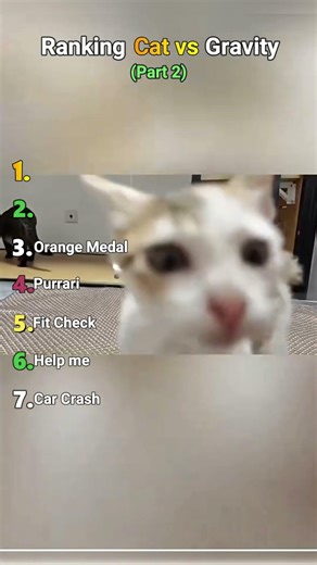 Ranking Cats Losing to Gravity 😭