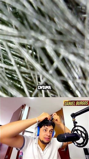 How hair looks under a microscope