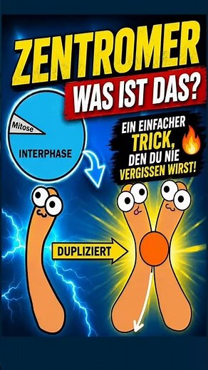 Das Geheimnis der Chromosomen, das dir niemand erklärt! #Chromosomen #Genetik #biologie #Mitose