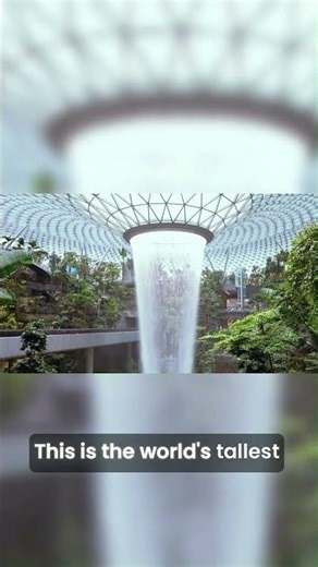 Surprising Changi Airport Secrets Revealed!