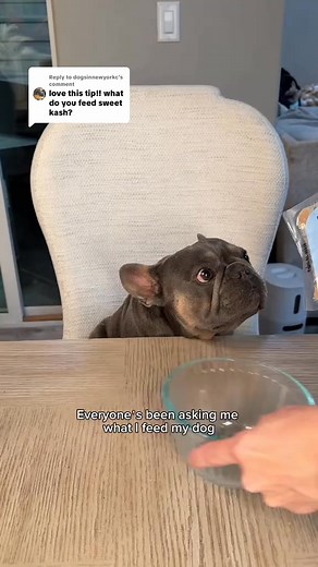 Take 50% OFF your first trial! ✅ Vet-developed recipes ✅ Human-grade ingredients ✅ Gently cooked to preserve nutrients ✅ Picky eater approved ✅ Results you can see | Spot and Tango