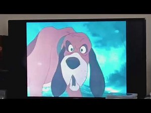 Opening to Tarzan 2000 DVD