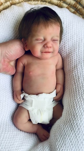 Sweet Cookie Doll: Realistic Reborn Silicone Baby Theo