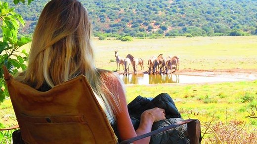 1.1K views · 13 reactions | Freewalker Adventure Travel experience...