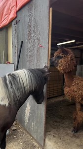 1.3M views · 10K reactions | We’ll see what improvements he’s made at his next annual performance review | Useless Farm | Facebook