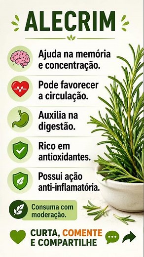 ALECRIM #saúde